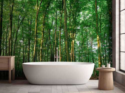 Green forest 