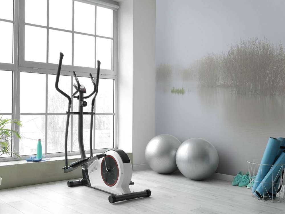 Fog in nature reserve