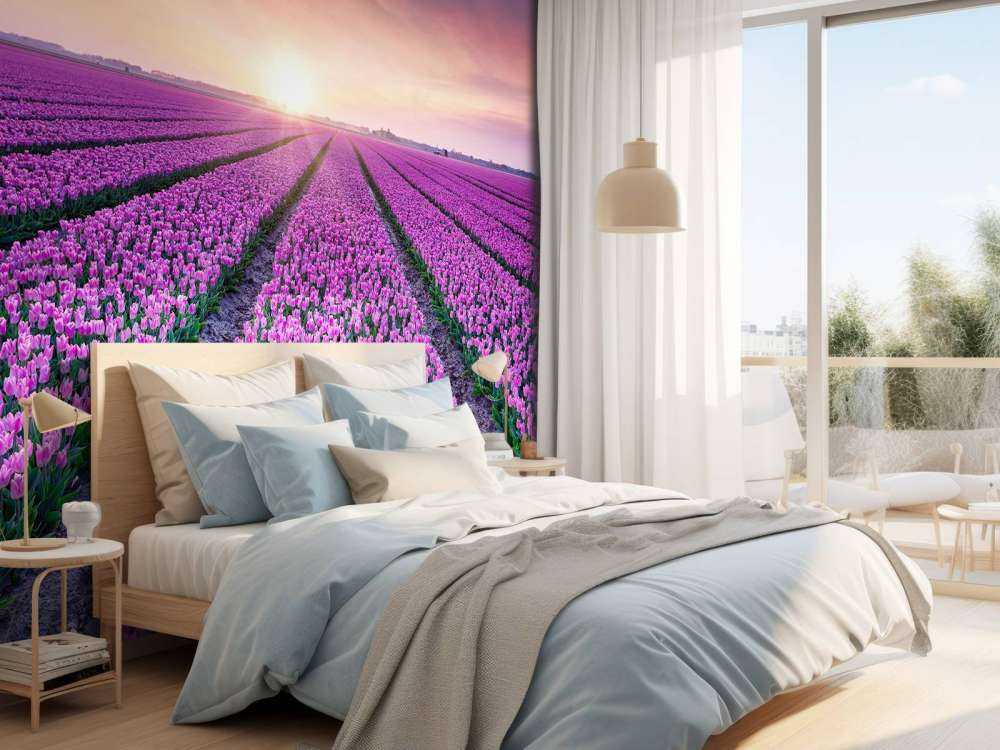 Tulip field at sunrise