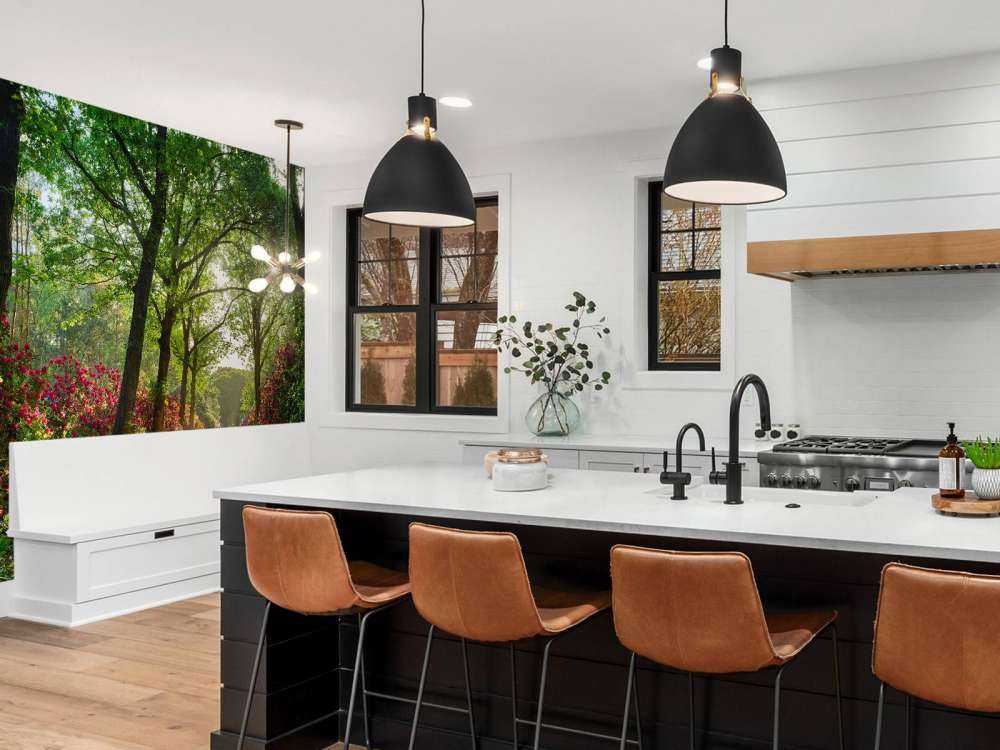 Sunrise at path with rhododendrons