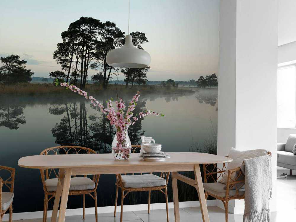 Trees along woodlands