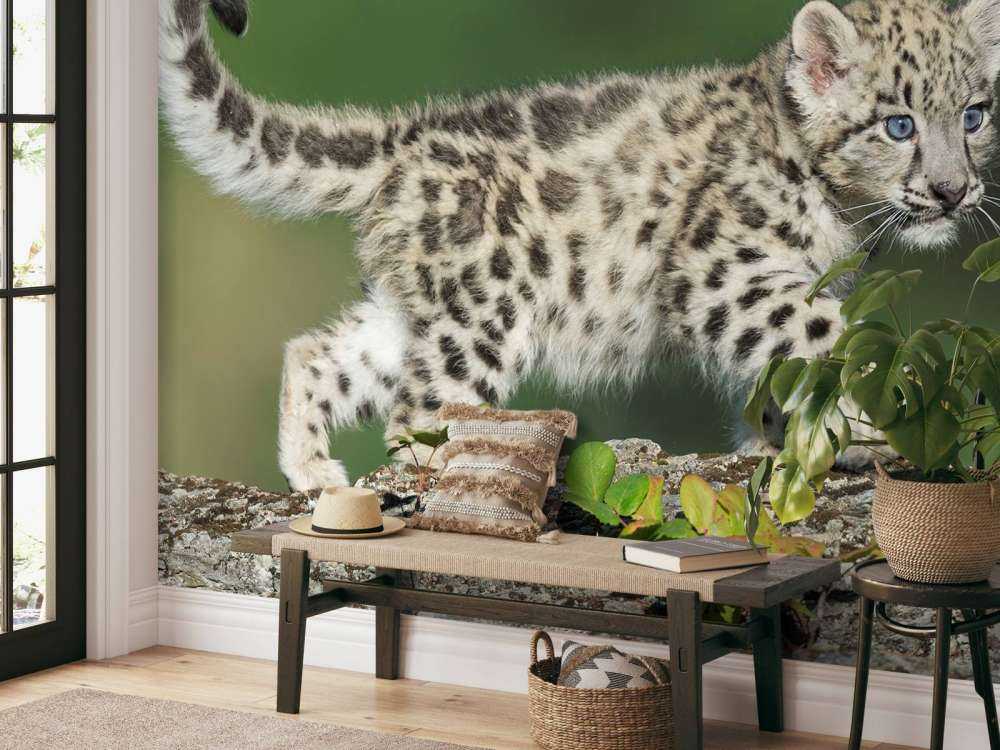 Snow leopard cub