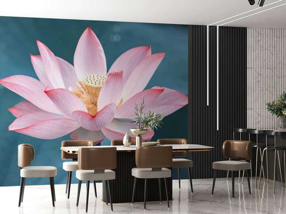 Close-up lotus flower