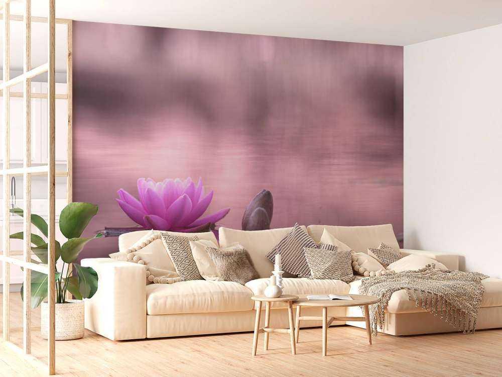 Lotus flower in pond