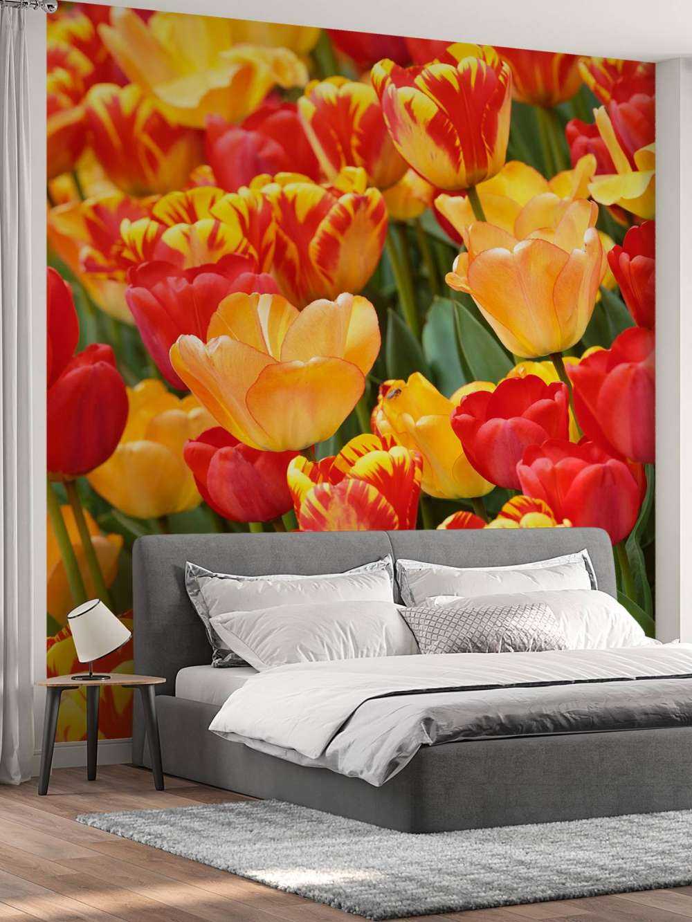 Coloured Tulips