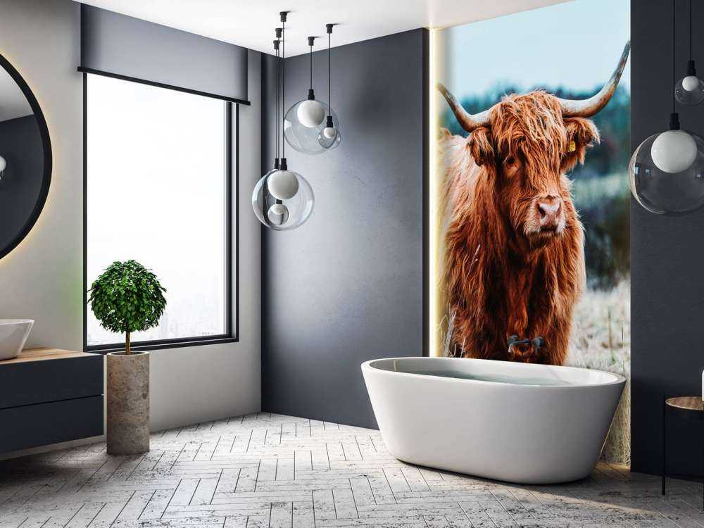 Scottish highlander in the forest