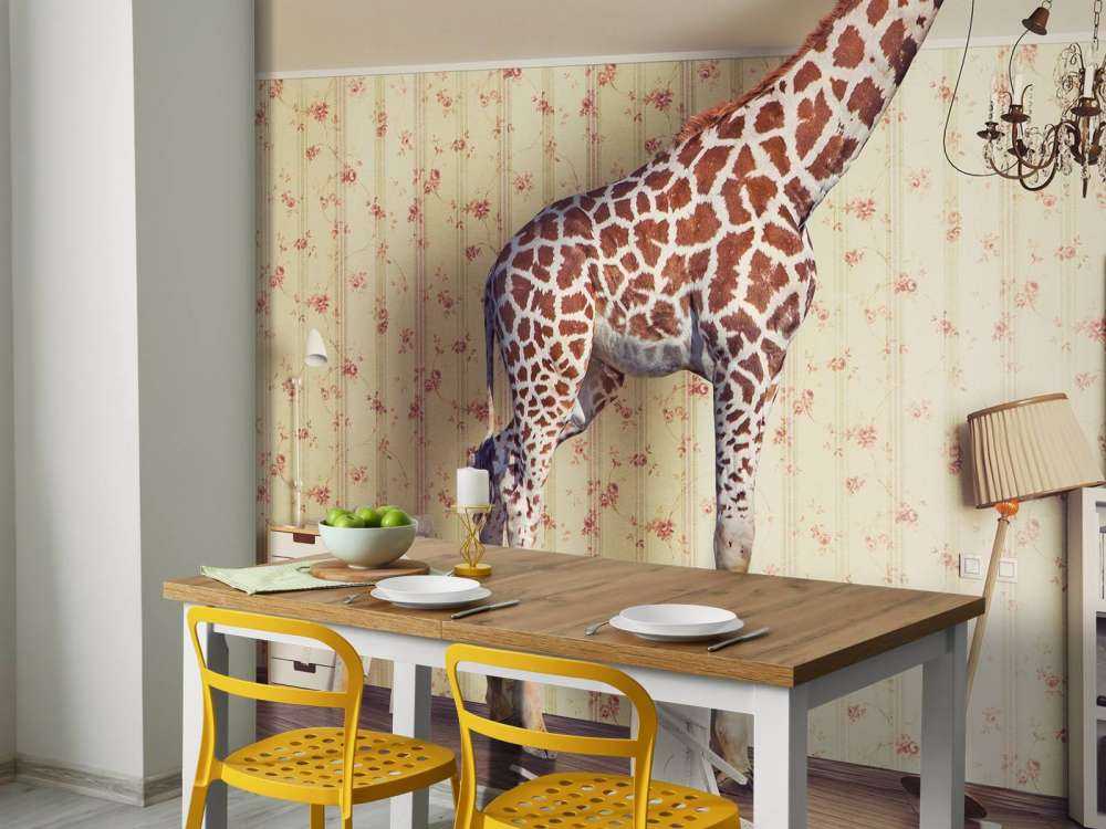 Giraffe in the living room