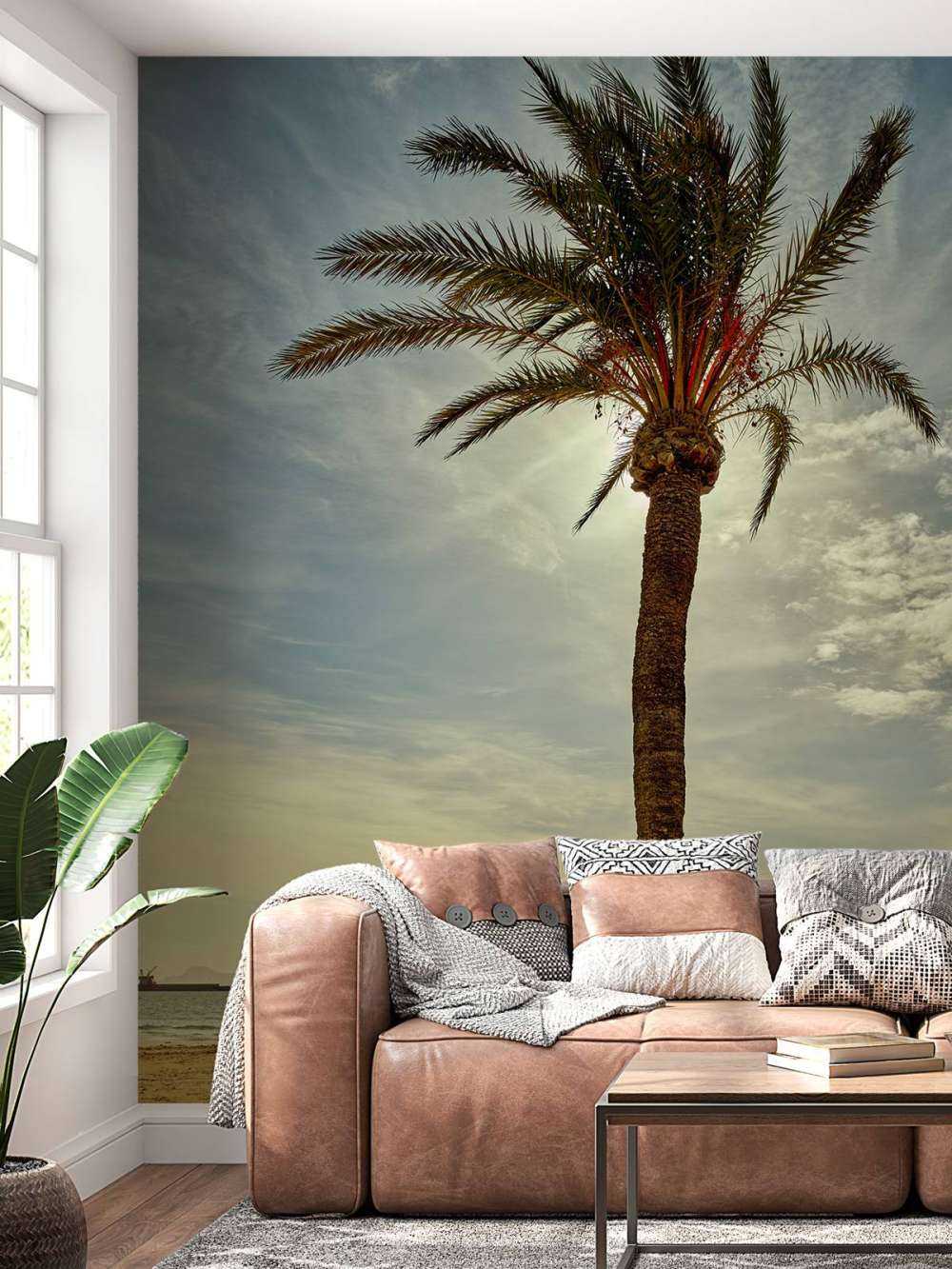 Palm tree in the sun