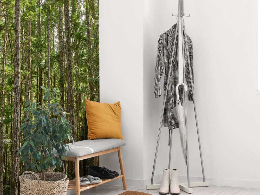 Thin trees in the forest