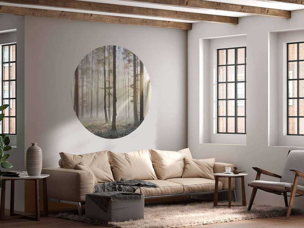 Foggy forest sunrise