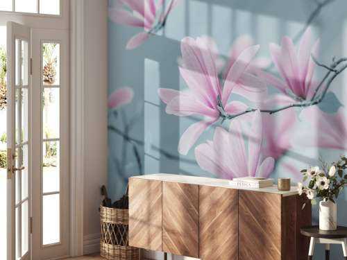 Magnolia flowers