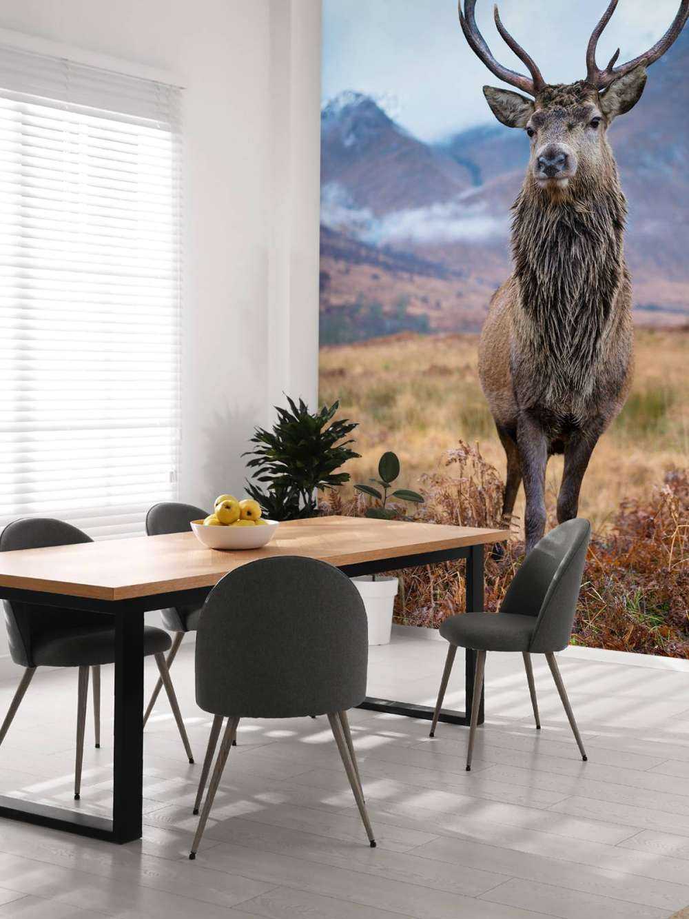 Deer in the mountains