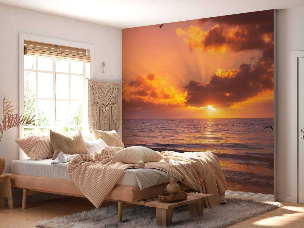 Beautiful orange sunset