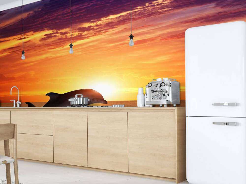 Dolphins in evening sun