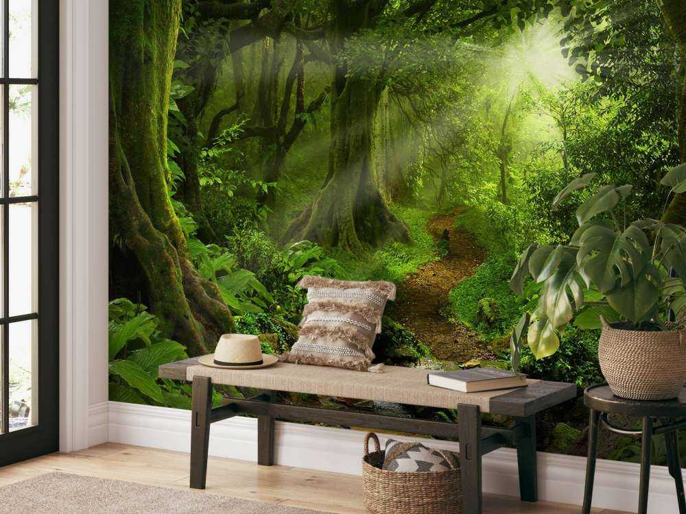 Tropical jungle with sunlight