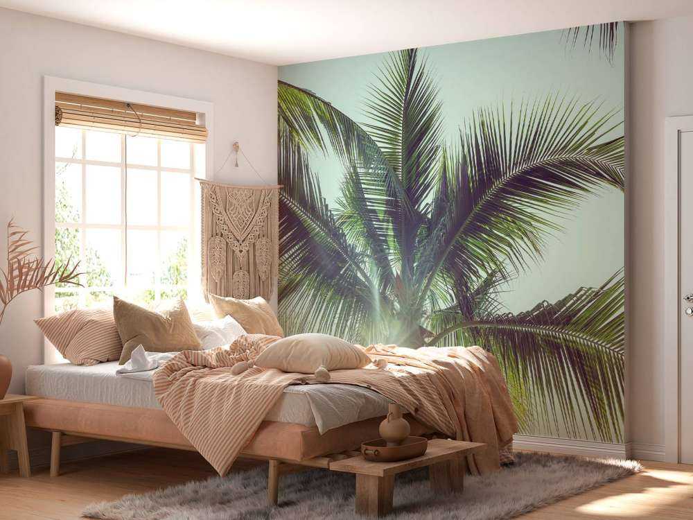 Palm trees in the sun