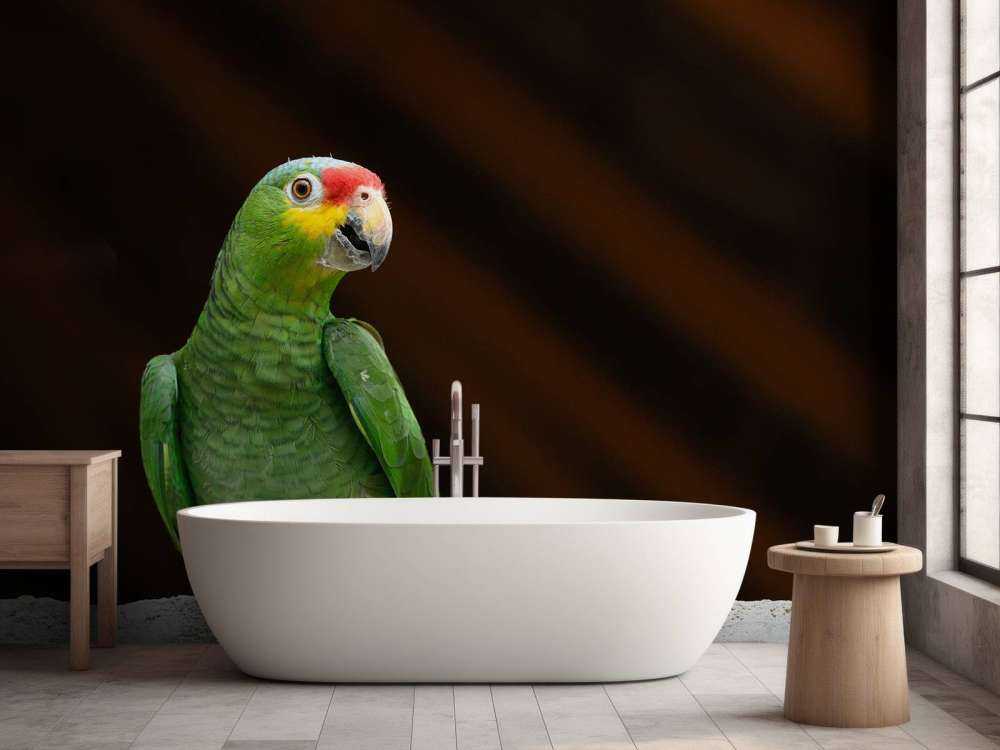 Curious parrot