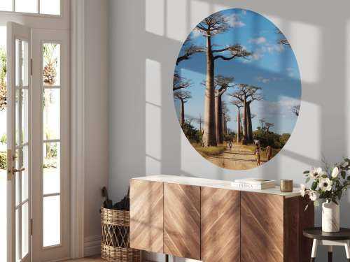 Baobab trees