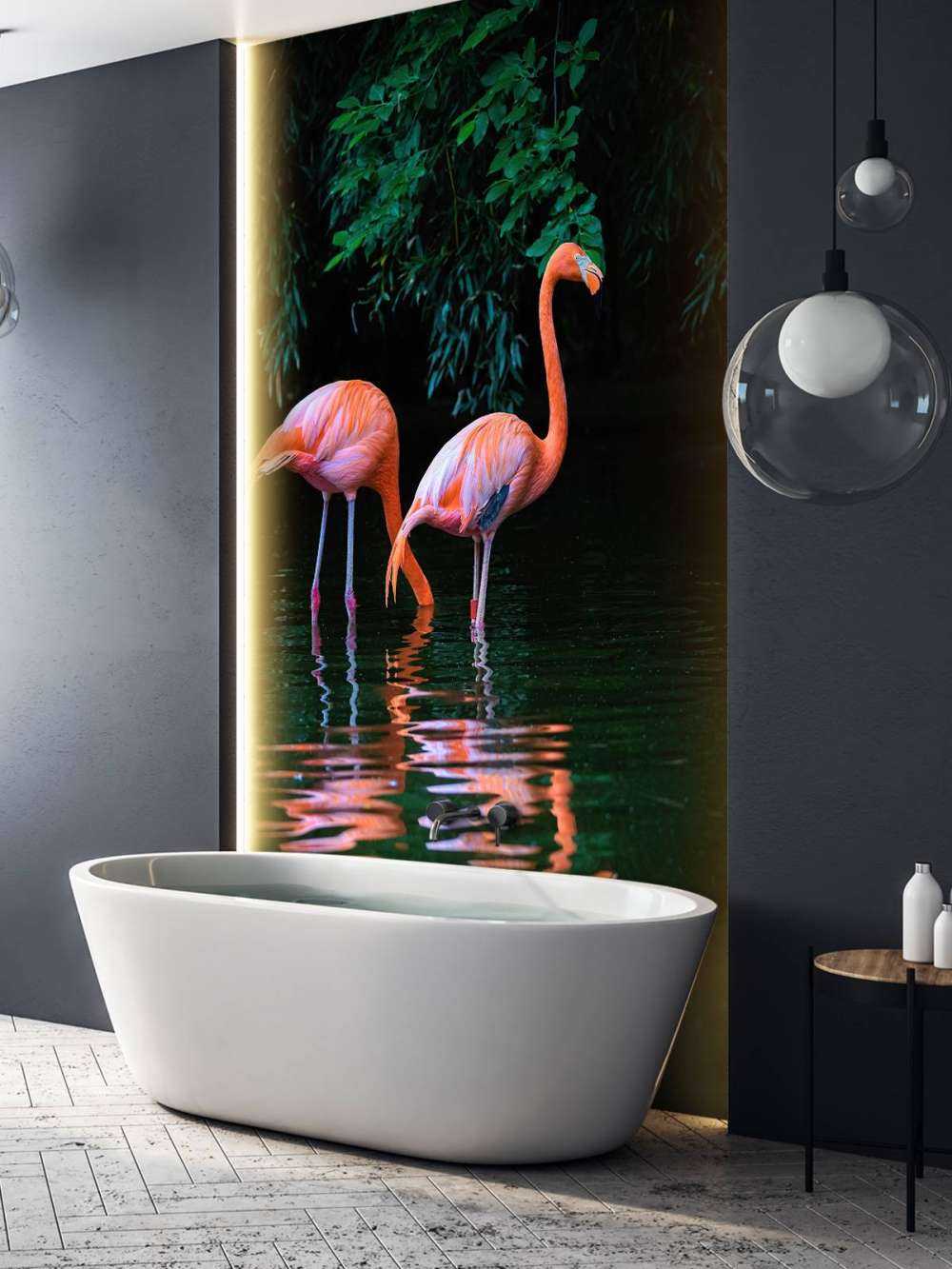 Two Caribbean flamingos