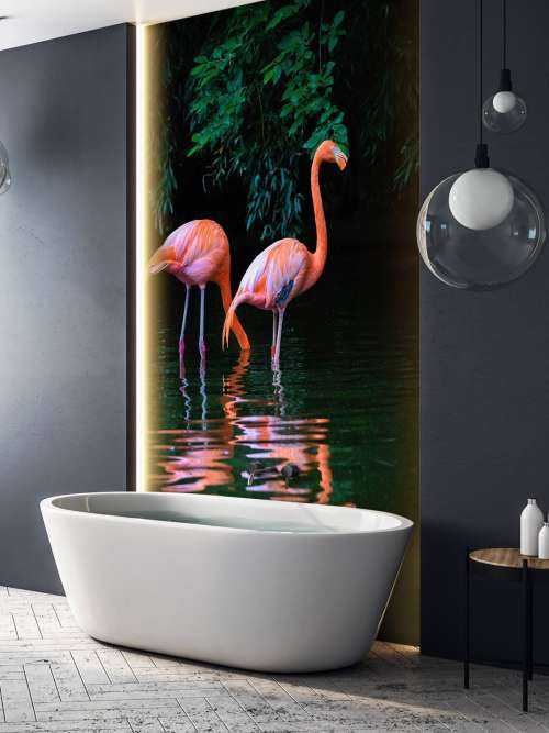 Two Caribbean flamingos