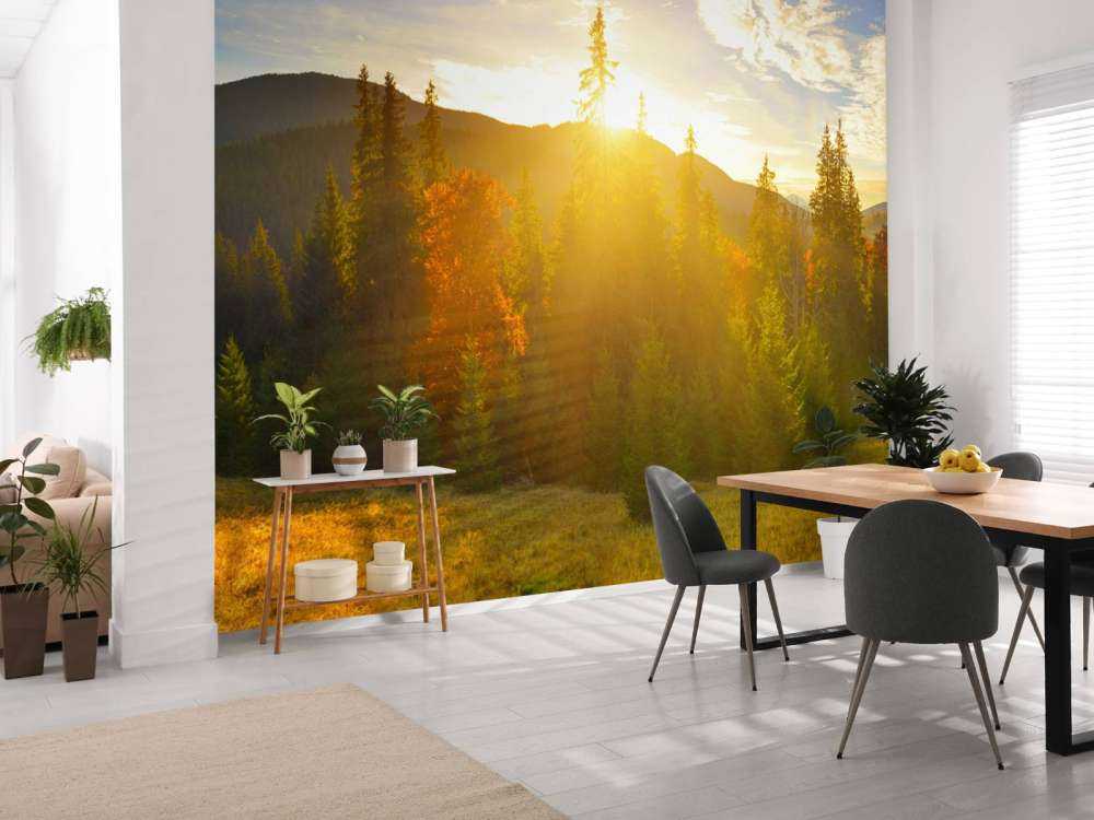 Pine forest panorama