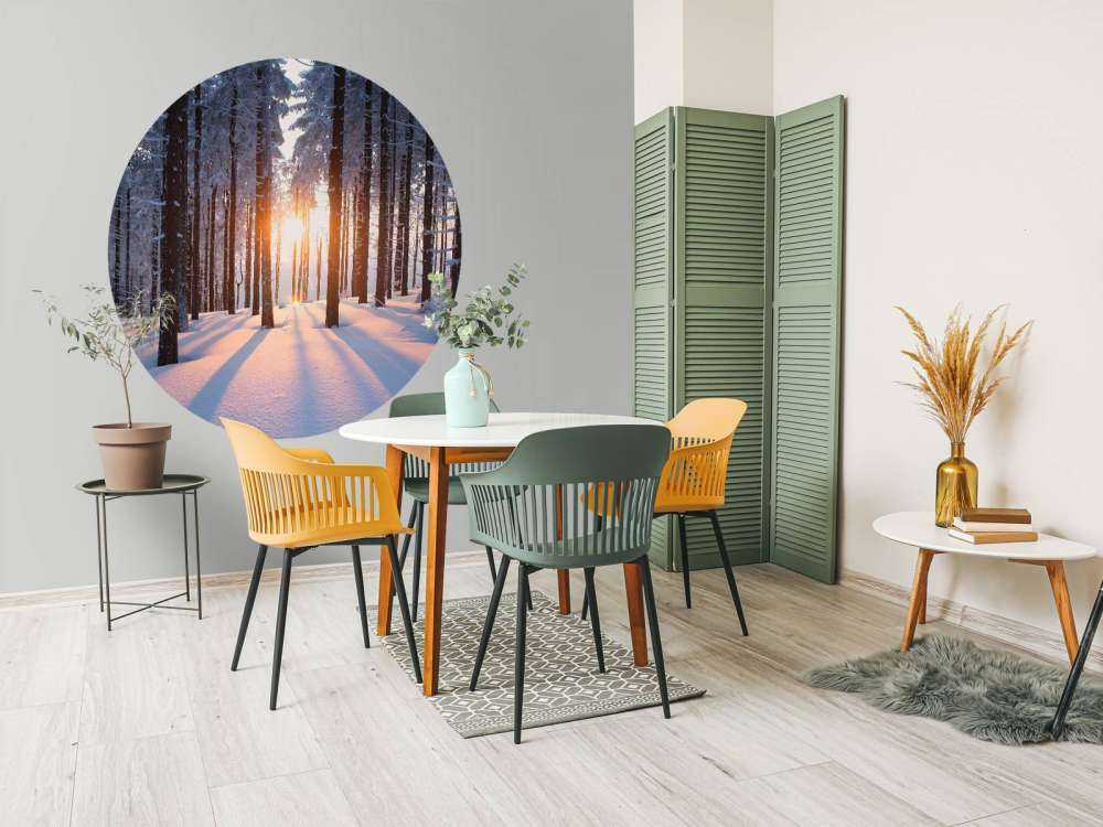 Sunset in a winter forest