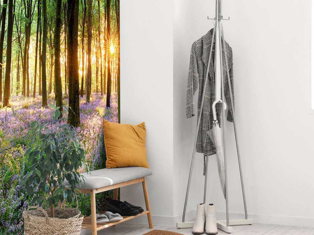 Forest path at sunrise