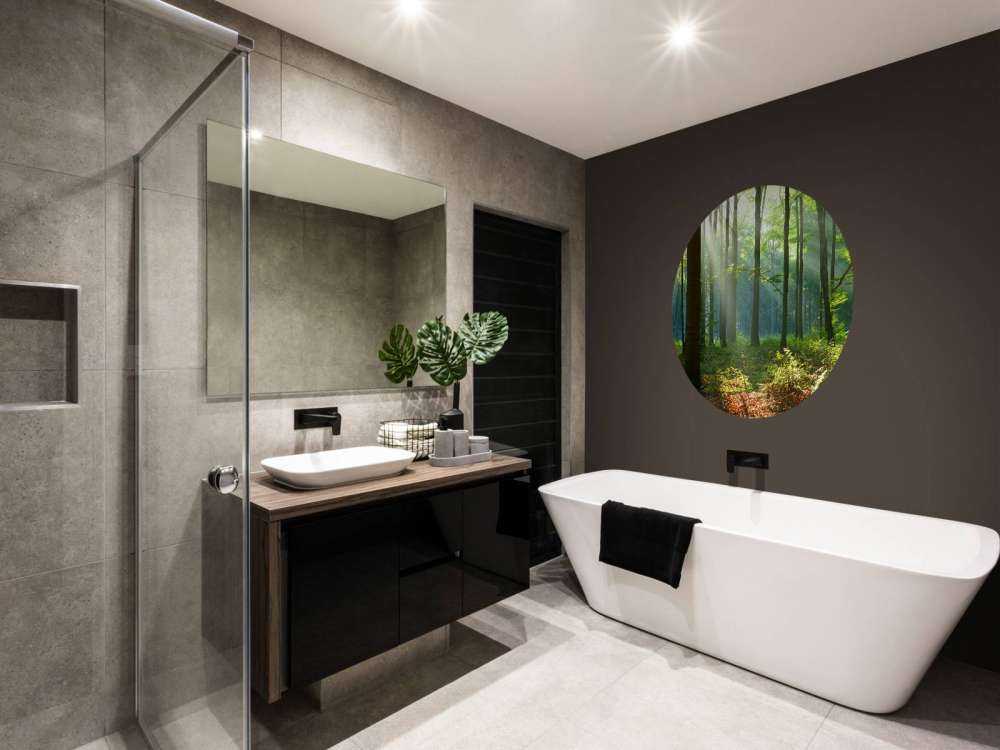 Morning in the forest