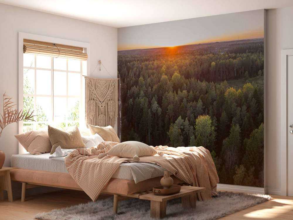 Aerial view of autumn trees