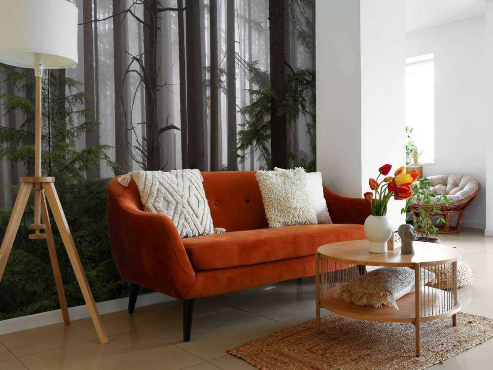 Forest during a foggy day