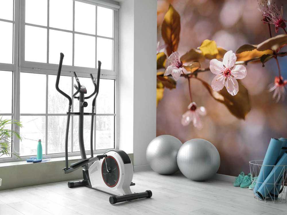 Pink blossoms and brown leaves