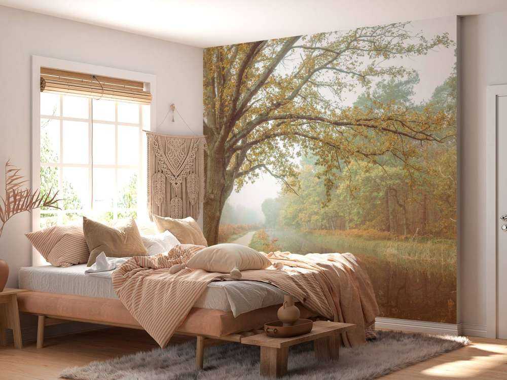 Lake in autumn forest