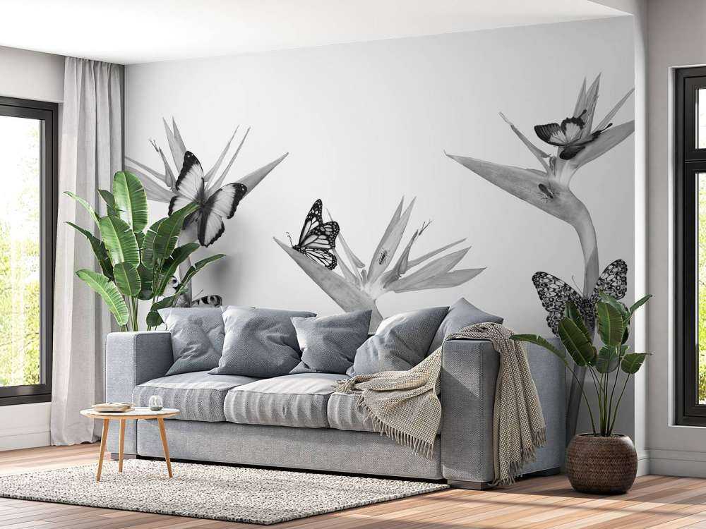 Butterflies on bird of paradise flowers