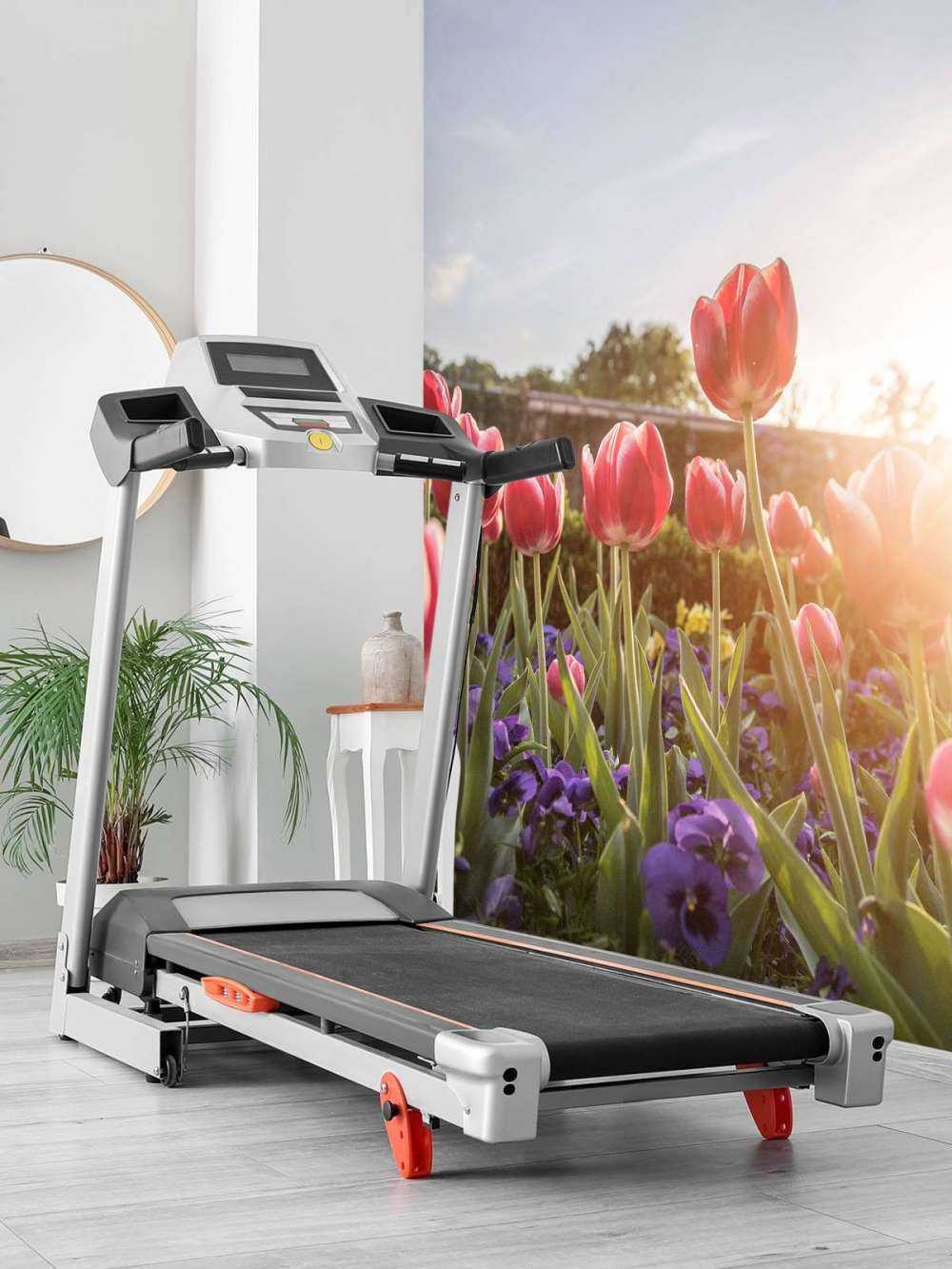 Flowers with sunlight