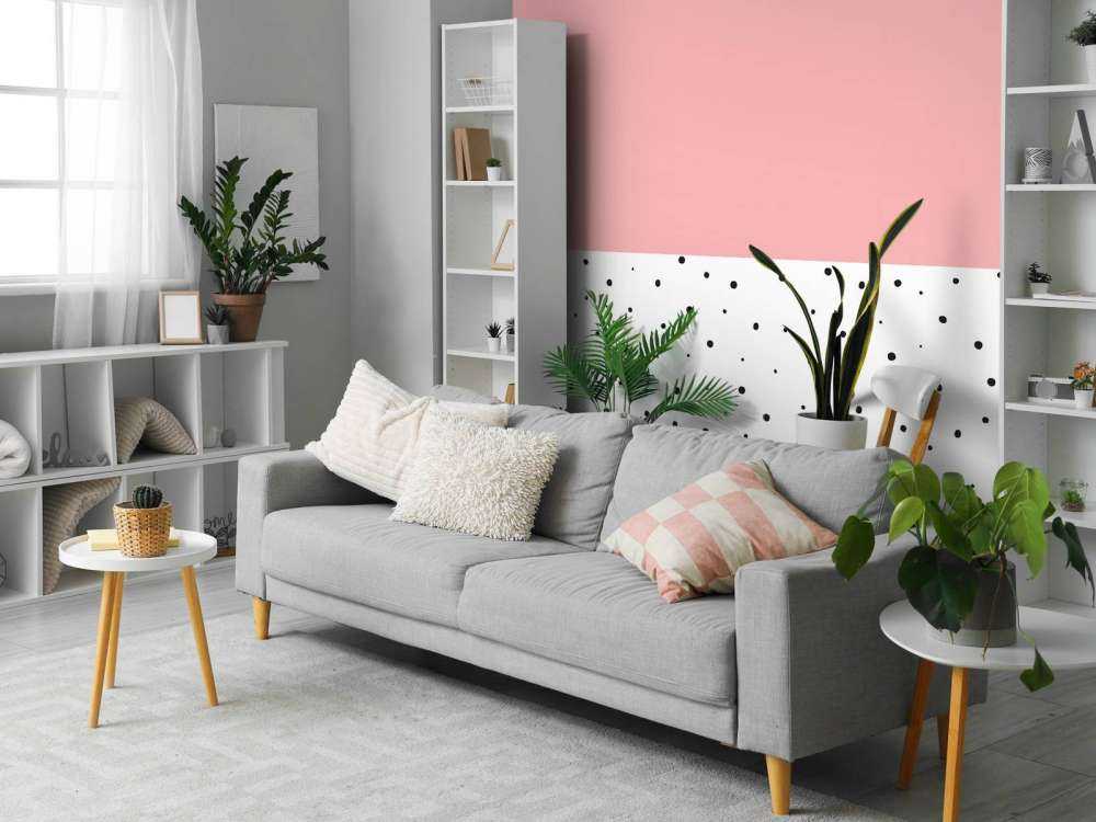 Pink and white areas with black dots