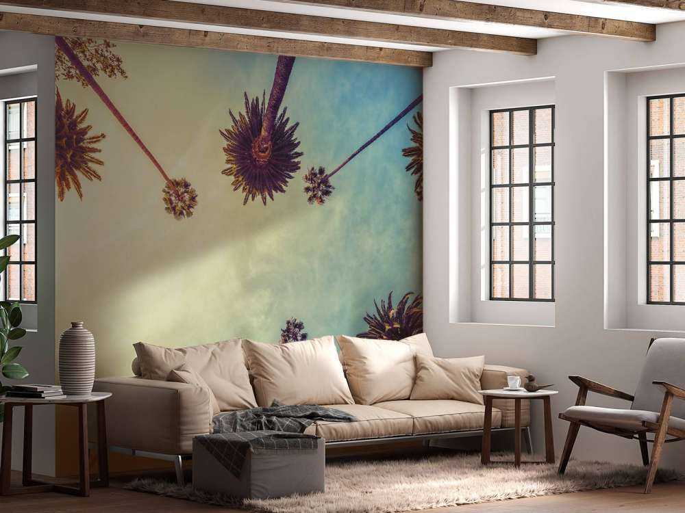 Bottom view of palm trees