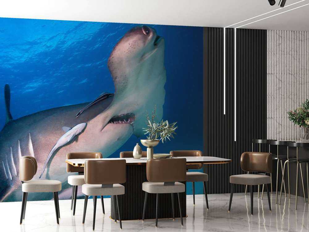 Hammerhead shark