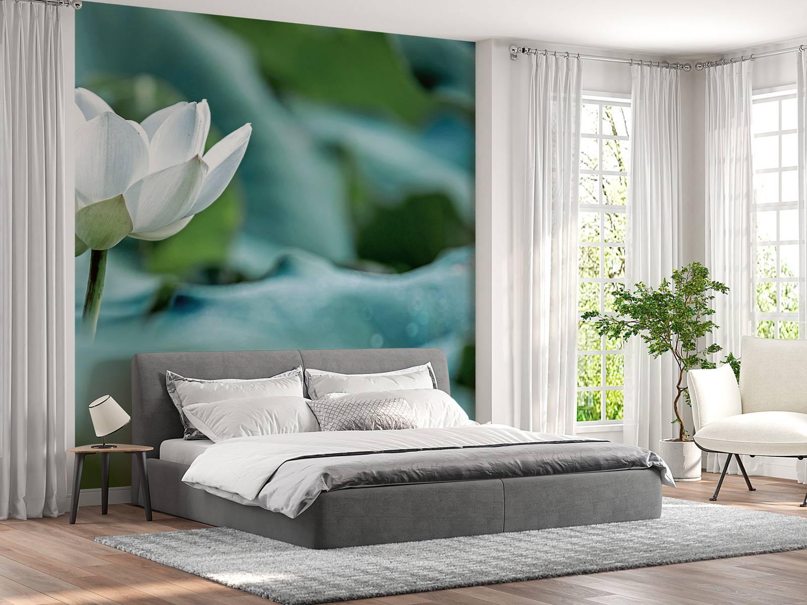 White lotus flower