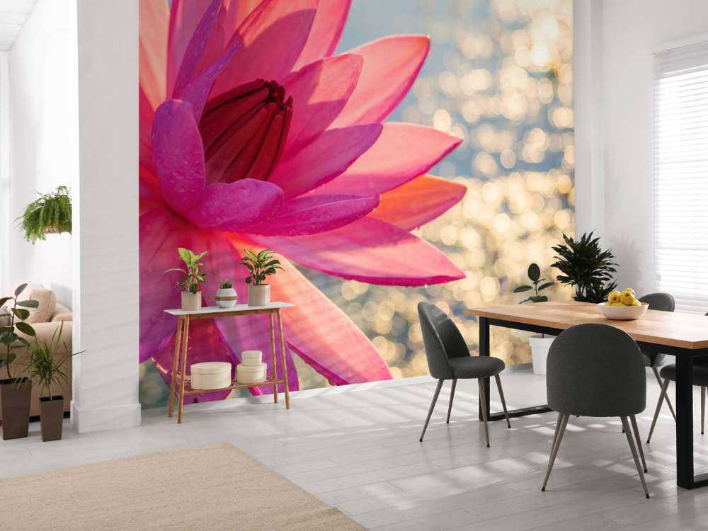 Lotus flower on water