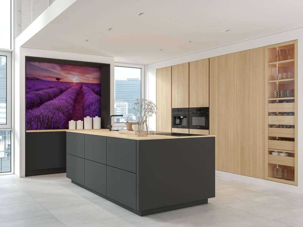 Field full with lavender