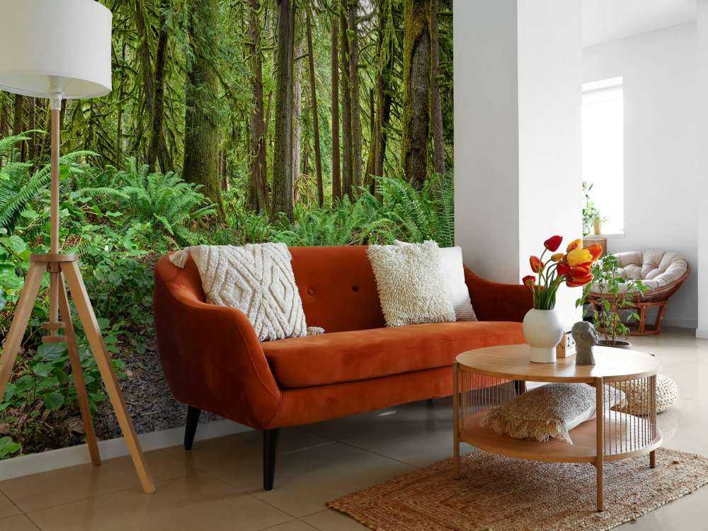Path with stones through the forest 