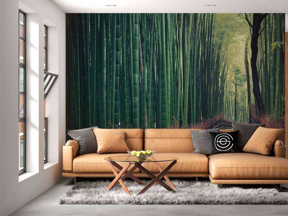 Bamboo forest