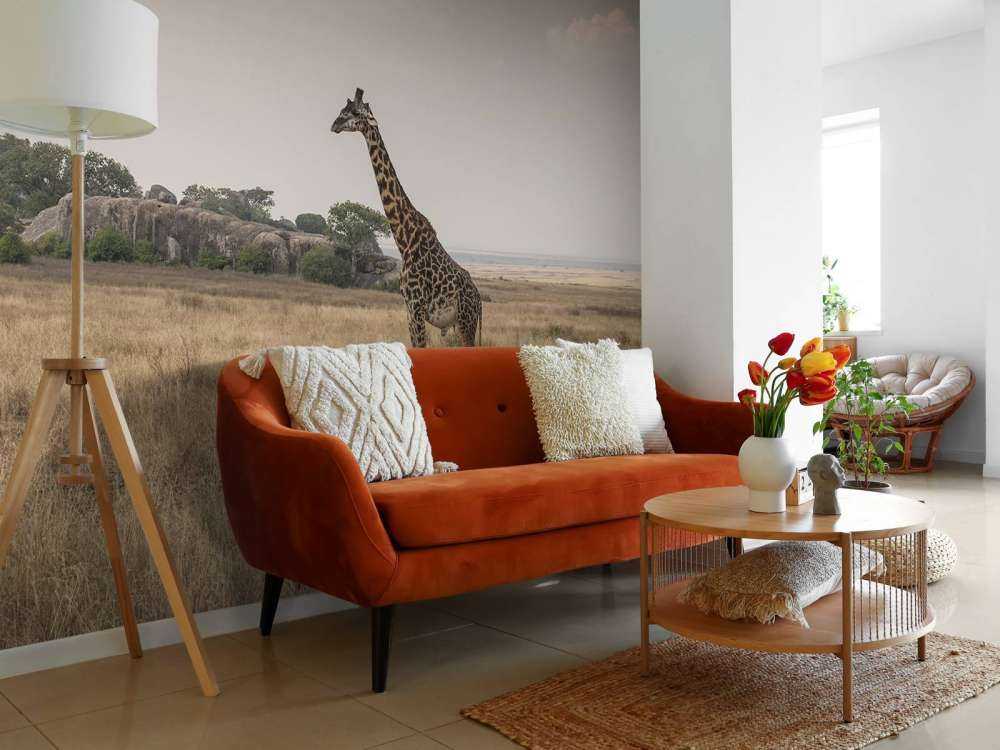 Giraffe on a savannah