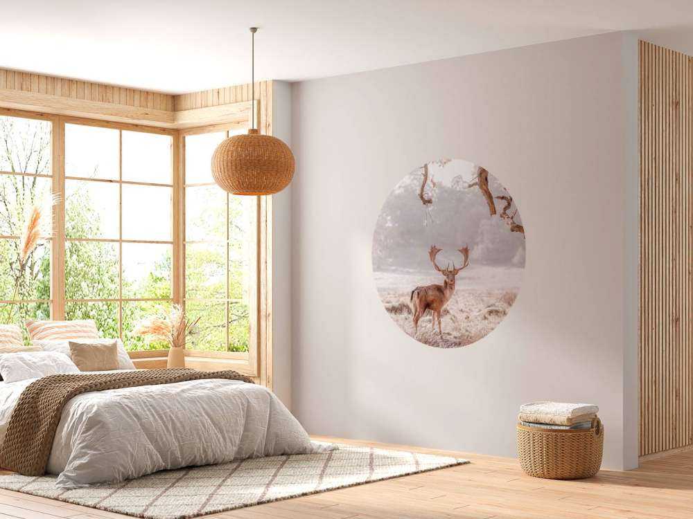 Deer in a field