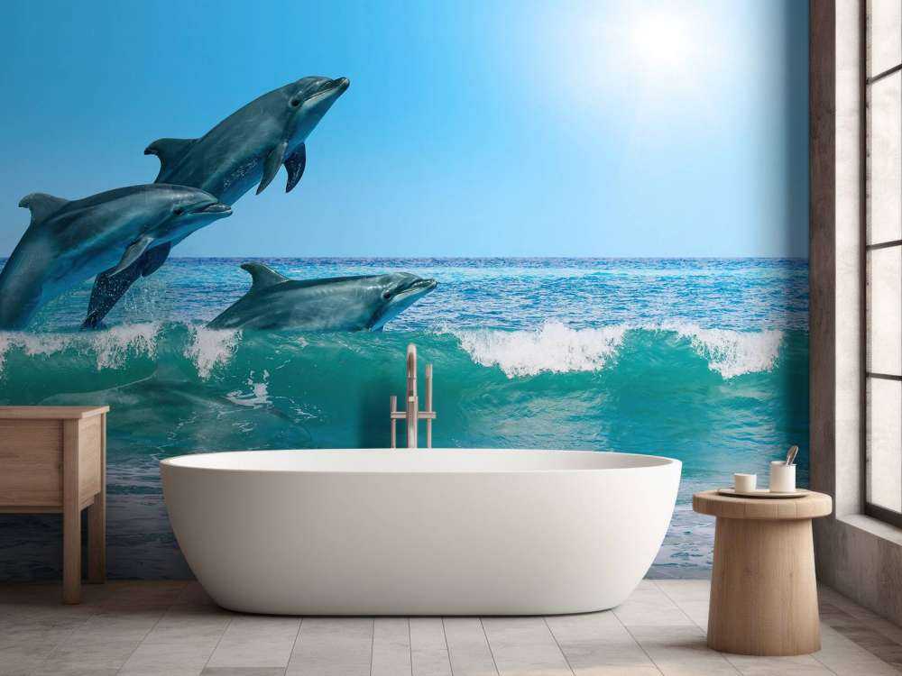 Dolphins at the coast