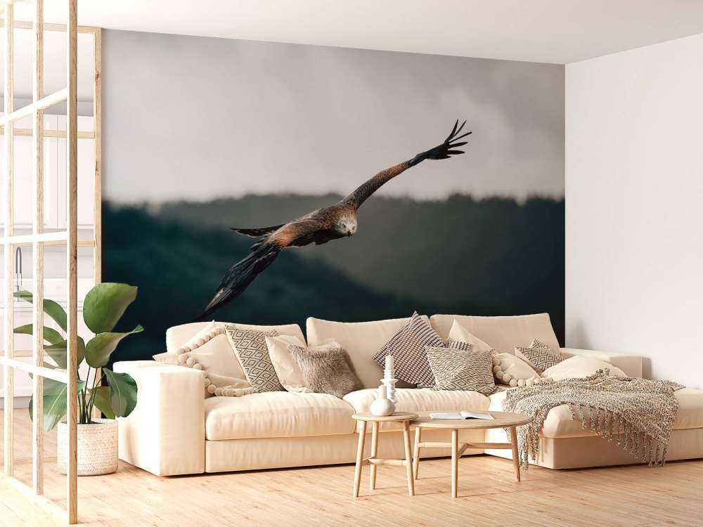 Red kite