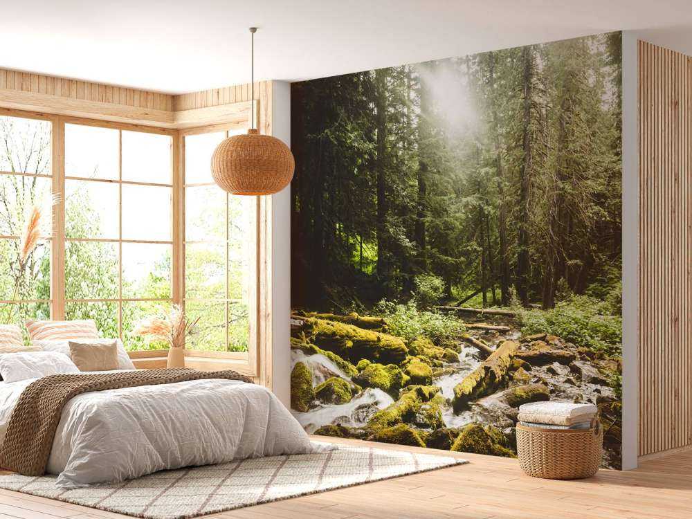 Waterfall in a forest 