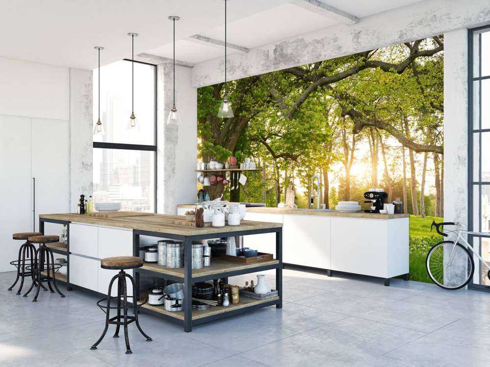 Open space in the woods