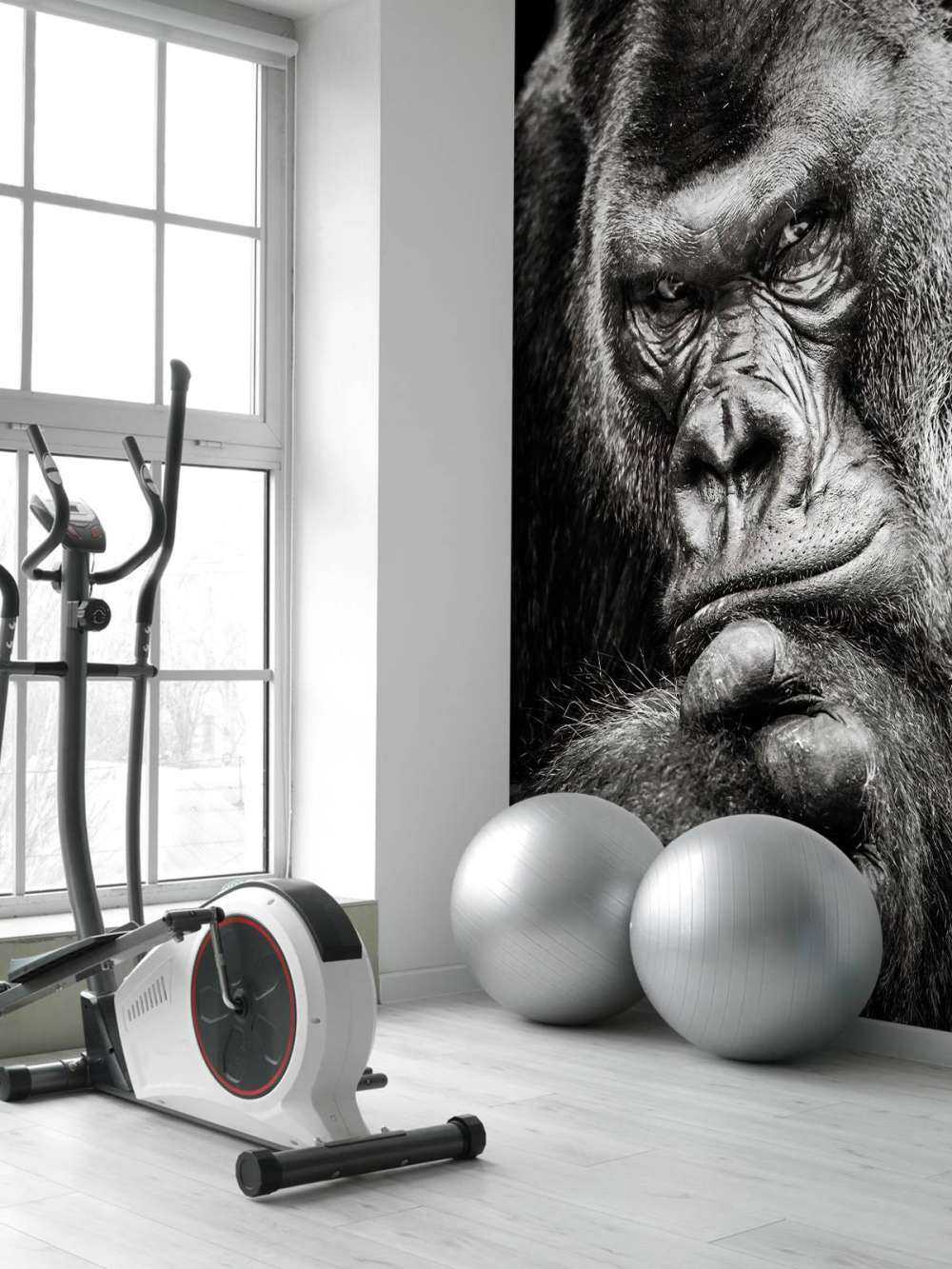 Close-up picture of a gorilla