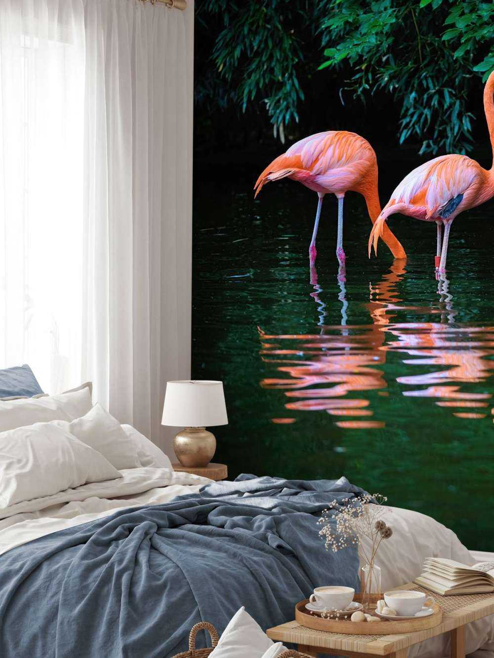 Two Caribbean flamingos